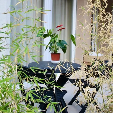 Salsedine E Girasoli 3* Civitanova Marche